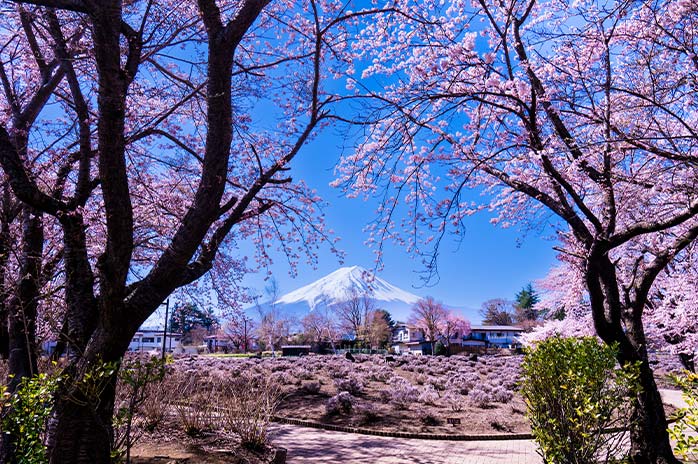 八木崎公園